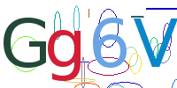 验证码
